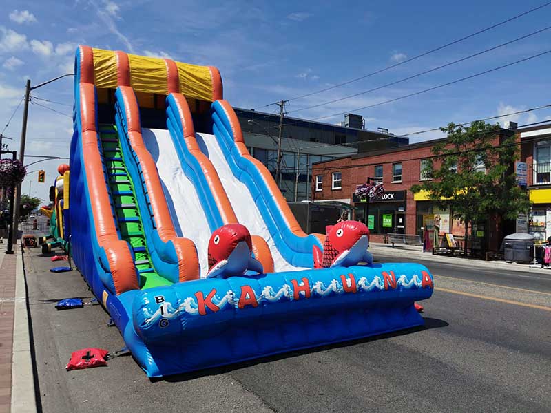 Bouncy Castle Rental